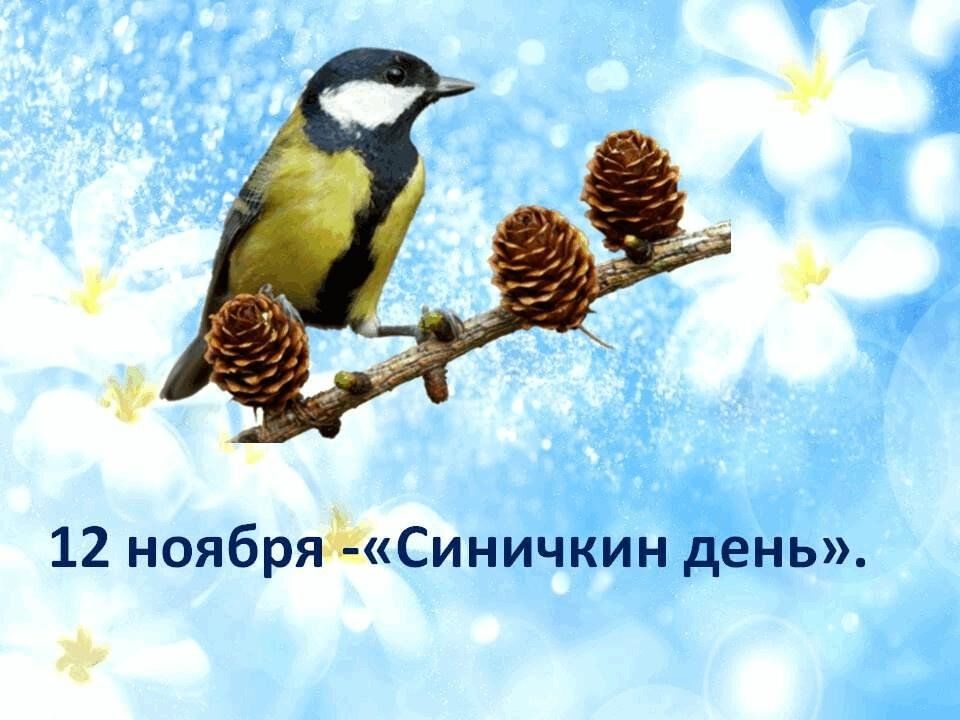 Синичкин день.